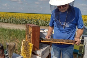 Rano cvetanje i kasni mraz mogu biti pogubni za pčelarsku godinu