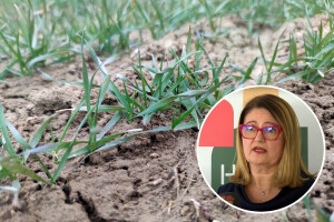 Darja Sokolić: Karte pogodnosti tla su budućnost - HAPIH radi na tome