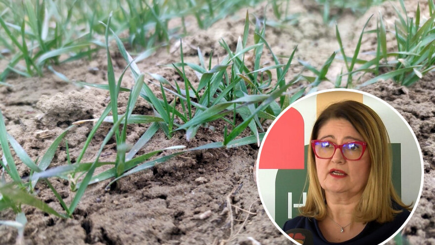 Darja Sokolić: Karte pogodnosti tla su budućnost - HAPIH radi na tome