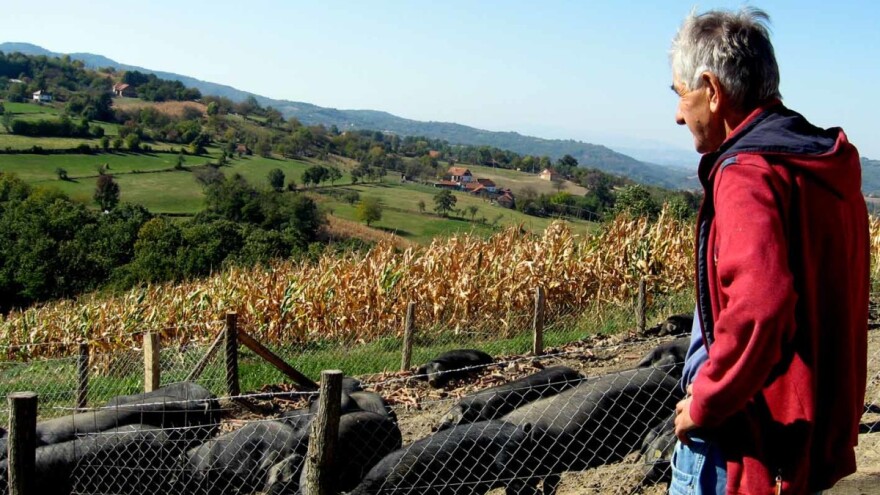 Gornja Sabanta: Bivši fabrikant sada gaji moravke