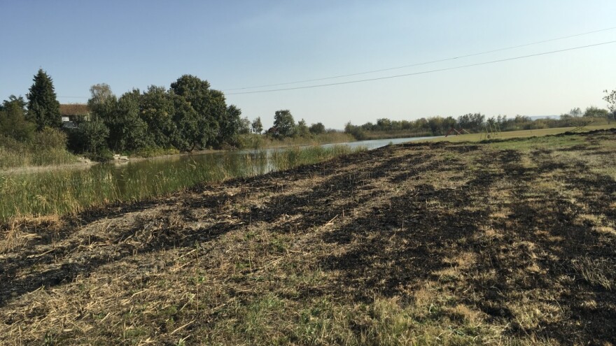 Ponjavica i Carska bara: Paljenje njiva ponovo izazvalo požar