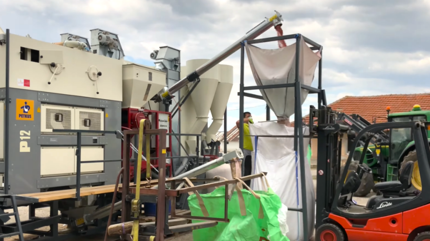 Evo kako doraditi sjeme u svom dvorištu: Brzo, čisto i bez papirologije