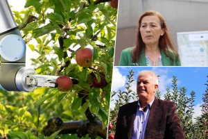 Hoće li roboti brati bh. voće - bliži su nego što mislimo?