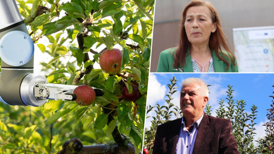 Hoće li roboti brati bh. voće - bliži su nego što mislimo?