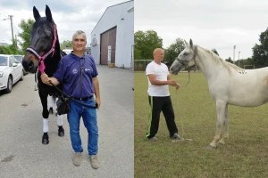 Bojan Ugren i Luka Mitraković uzgajaju konje, baštine tradiciju i čuvaju je od zaborava