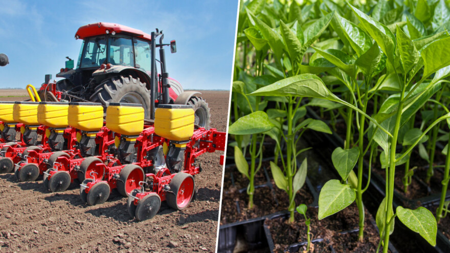 April: Vrijeme je za sjetvu, sadnju, ali i radove u voćnjaku i vinogradu