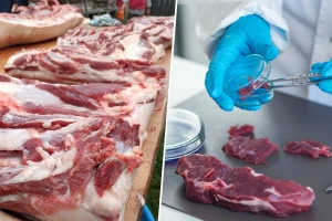 Životinje za hranu: Da li je na pomolu kraj stočarstva kakvog poznajemo?