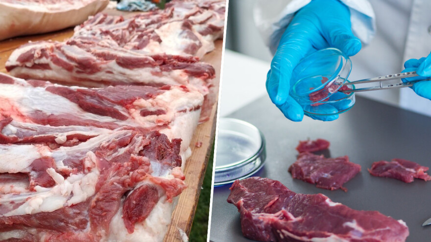 Životinje za hranu: Da li je na pomolu kraj stočarstva kakvog poznajemo?