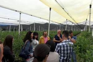 Sabor voćara u Gruži: Enciklopedija znanja, potrebno još sigurno tržište