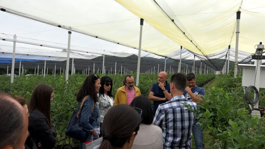 Sabor voćara u Gruži: Enciklopedija znanja, potrebno još sigurno tržište