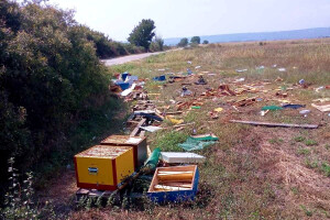 Nemilosrdni lopov ukrao ramove sa medom iz 41 košnice i otrovao pčele