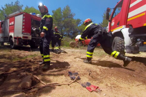 Nemoj da te peče savjest - osvrni se i spasi šumu od požara!
