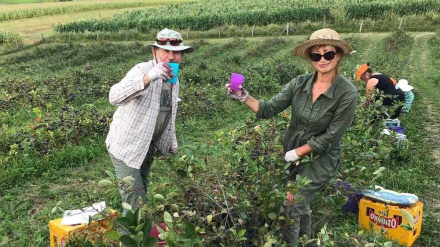 Mario Kranjec: Nije sve tako loše i nemoguće, samo treba donijeti odluku, uložiti trud i oprezno krenuti