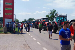 Kreću prosvjedi u susjedstvu - suncokret ne daju ispod 700 eura za tonu