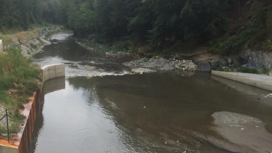 Prijava protiv mini hidroelektrane zbog pomora riba