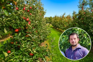 Goran Fruk: U sušnim godinama preporučuje se koristiti bujnije podloge