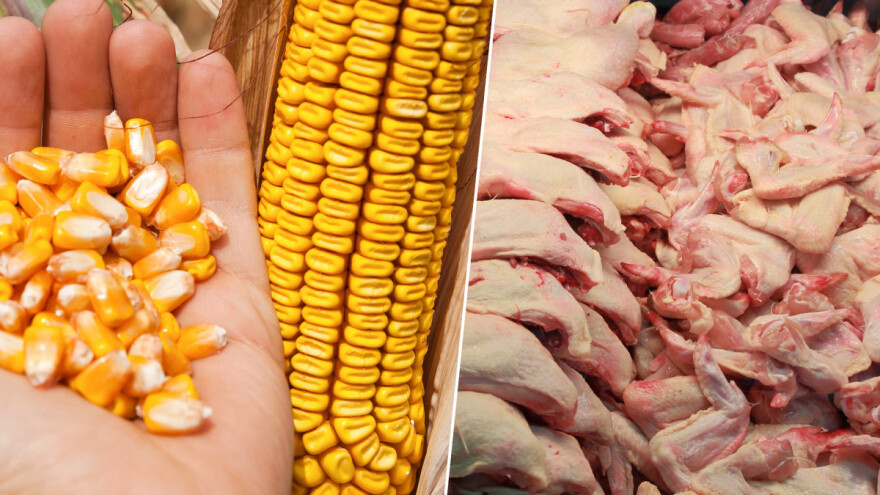 Krčenje šuma: Proširen spisak proizvoda koji se neće moći uvoziti