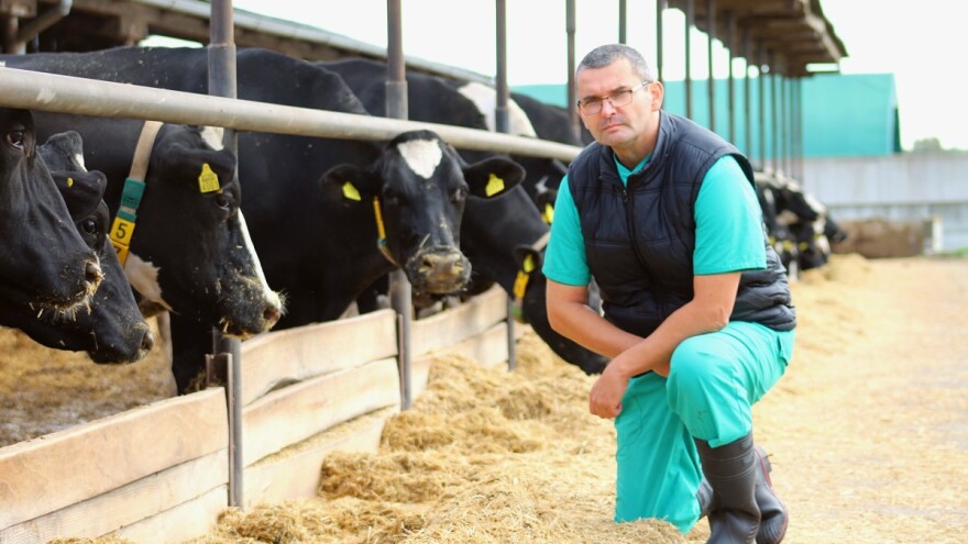 Kako je slavonska farma uspjela uzgojiti vrhunsko stado mliječnih krava?