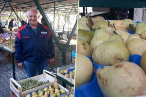 Kako je ove godine rodila kruška na obroncima Fruške gore?