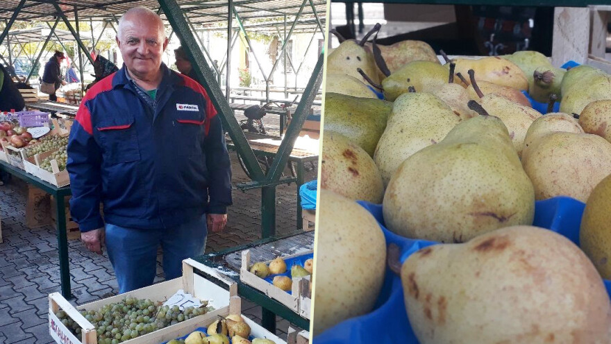 Kako je ove godine rodila kruška na obroncima Fruške gore?