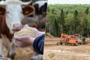 EU zabranjuje uvoz proizvoda koji doprinose krčenju šuma - šta se mijenja dogovorom?