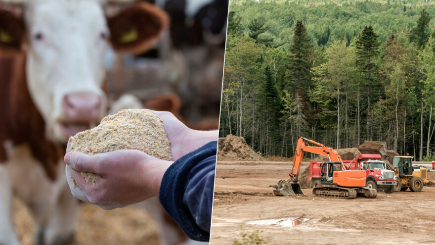 EU zabranjuje uvoz proizvoda koji doprinose krčenju šuma - što se mijenja dogovorom?