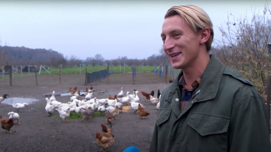 Darko Radičević od guščjeg perja izrađuje peruškice - zaboravljeno kuhinjsko pomagalo