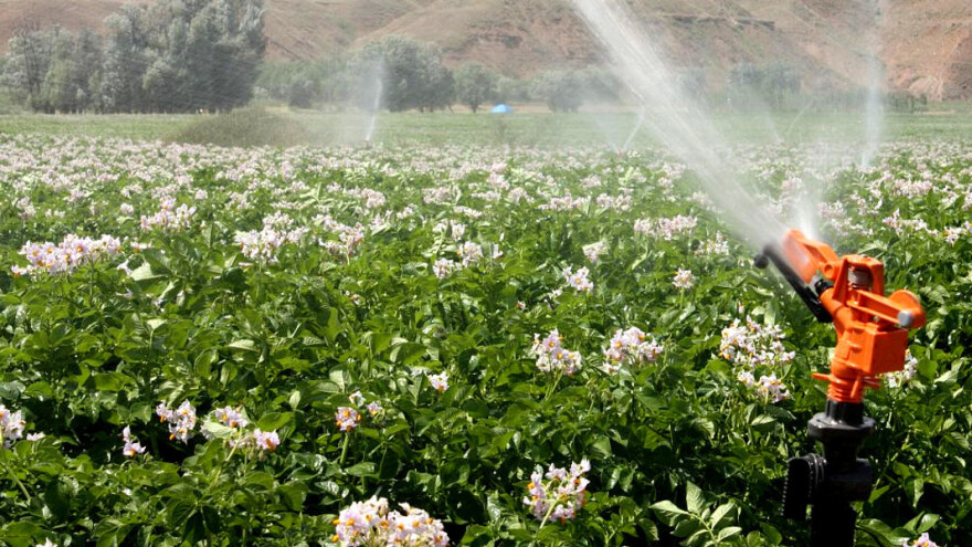 Pipelife: Što je važno pri odabiru sustava za navodnjavanje?