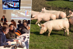 Predsjednik HPK od Wojciechowskog zatražio veći proračun za potpore u svinjogojstvu