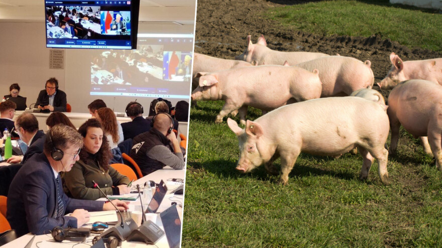 Predsjednik HPK od Wojciechowskog zatražio veći proračun za potpore u svinjogojstvu