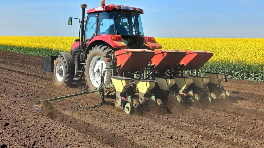 Setva suncokreta: Zašto se površine smanjuju?