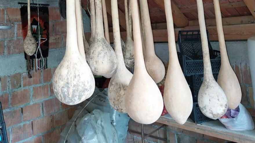 Nategu seje iz ljubavi prema starim sortama, a čemu je služila?