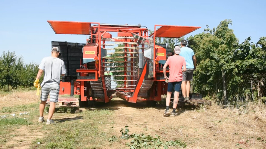 Primena novih biotehnologija i neophodnost mehanizovanja svih operacija u voćarstvu
