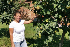 Gosti sa drugog kraja sveta beru srpsko voće uz zrikavce
