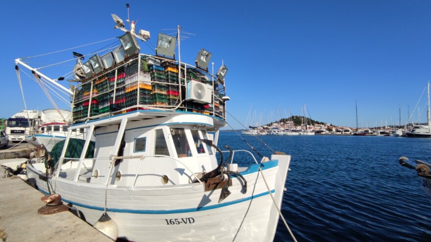 Hrvatski oslić u šibenskim vrtićima! A, zašto ne u cijeloj Hrvatskoj?