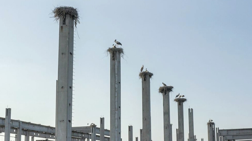 Fenomen koji postoji u Madridu, a sada i kod nas