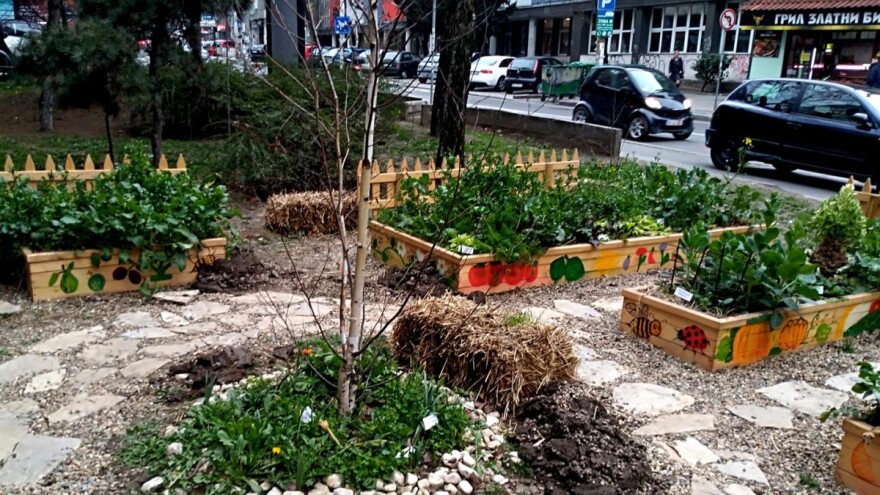 Urbane bašte - ništa lakše i lepše