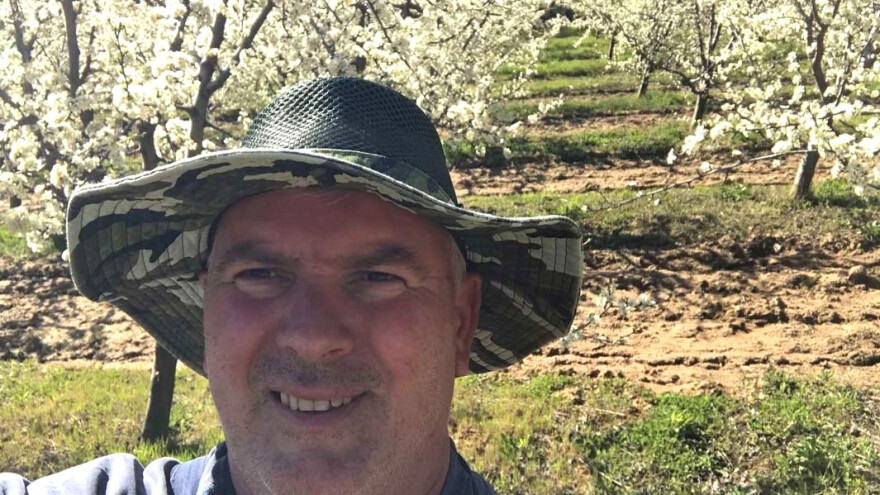 Sveti Iliću kotlina godinama spasava šljive od izmrzavanja - u planu širenje voćnjaka