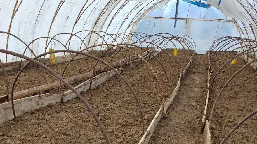 Pripremite plastenik za novu sezonu: Uklonite biljne ostatke, očistite alat, zamijenite zemlju?