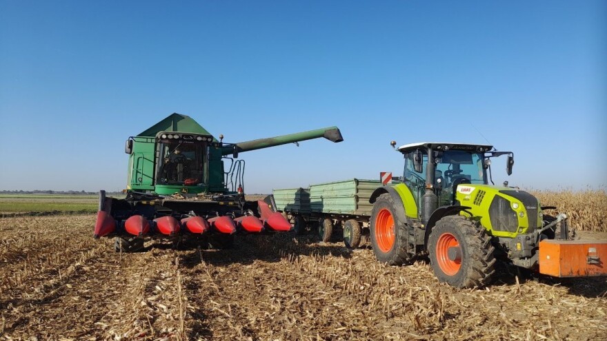 Kukuruz 2023. se uz sve nedaće "izvukao" - ali ne i otkupnom cijenom?