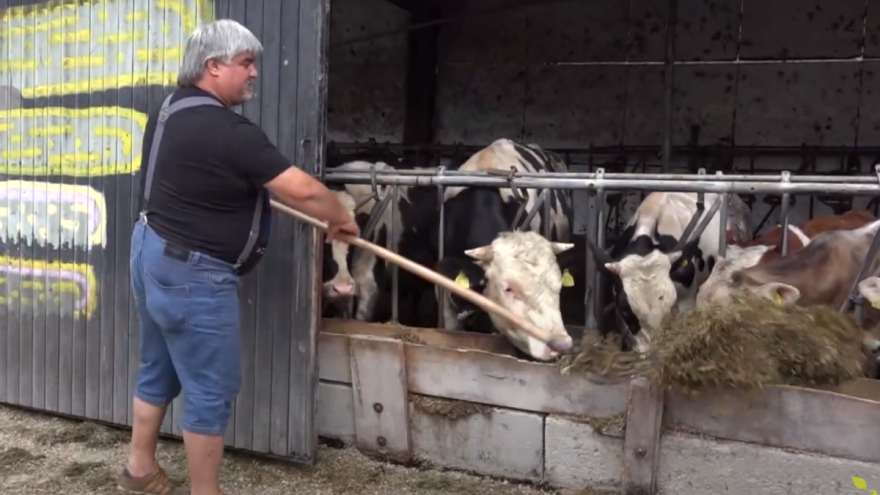 Isti problemi i kod slovenačkih stočara: Radi u službi, samo od poljoprivrede ne bi opstao