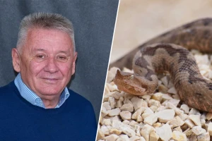 Velju Ilića ujela zmija u voćnjaku. Od 10 vrsta, tri su otrovnice, a sve su još uvek aktivne?