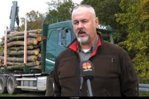 Privatni šumovlasnici donirali drva za ogrjev za čak 47 obitelji