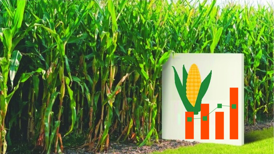 Proizvodni rezultati KWS kukuruza 2017/2018 s preko 100 pokusnih lokacija