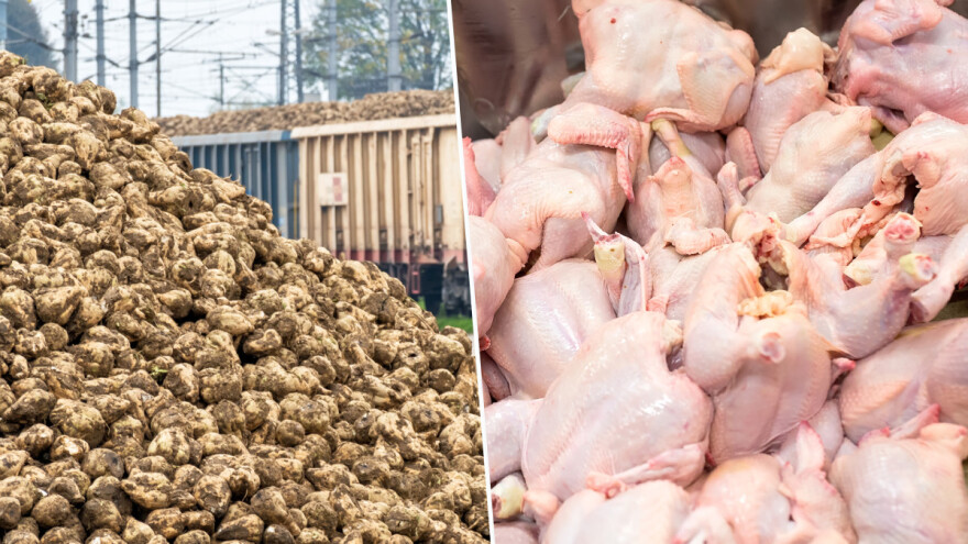 Koliko je porastao uvoz šećera i mesa peradi iz Ukrajine?