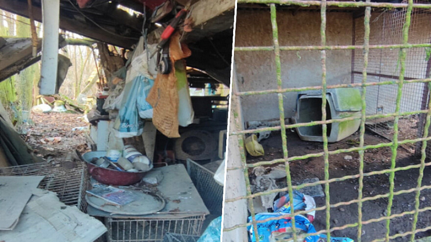 Uhićena vlasnica: Zbog zlostavljanja i zanemarivanja uginuli jare i dva psa