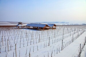 Osječko-baranjska županija bilježi rekordne turističke rezultate