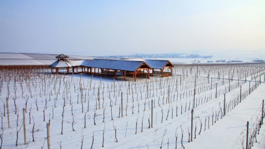 Osječko-baranjska županija bilježi rekordne turističke rezultate