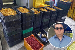 Porodica Habib godišnje otkupi oko 300 tona raznih plodova - spremni su za novu sezonu