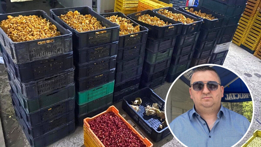 Porodica Habib godišnje otkupi oko 300 tona raznih plodova - spremni su za novu sezonu